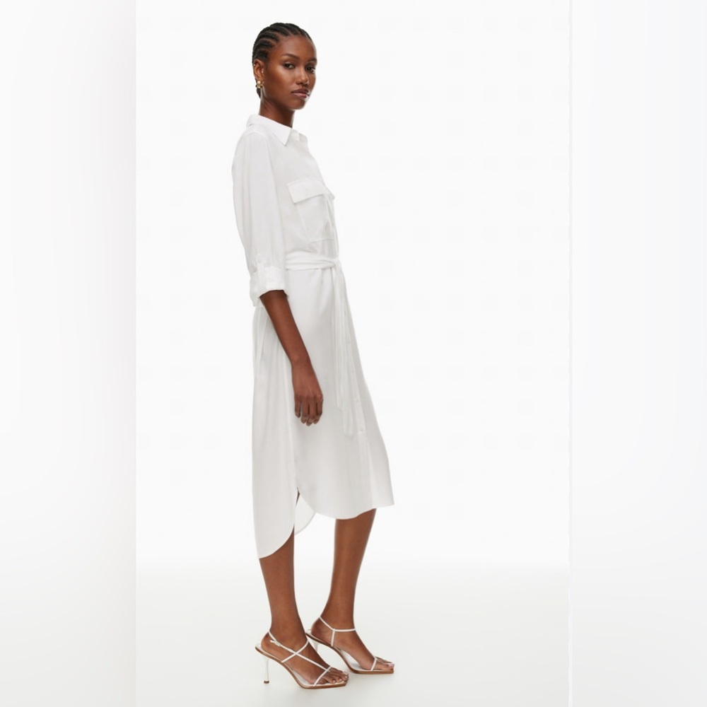 Aritzia Babaton Shirt Dress